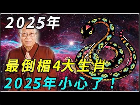 2025是什麼年|2025是民國幾年？2025是什麼生肖？2025幾歲？